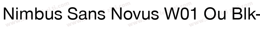 Nimbus Sans Novus W01 Ou Blk字体转换